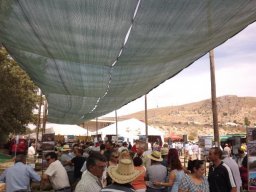 phoca_thumb_l_dscf1044